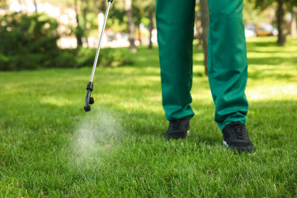 Hamlin, TX Pest Control Company