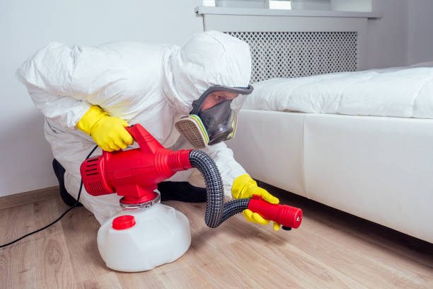 Best Rat Extermination Near Me  in Hamlin, TX