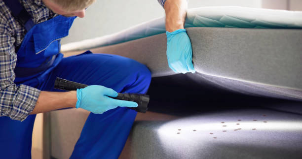 Best Affordable Pest Control Services  in Hamlin, TX