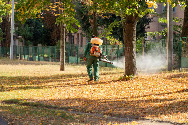 Best Pest Control Cost  in Hamlin, TX