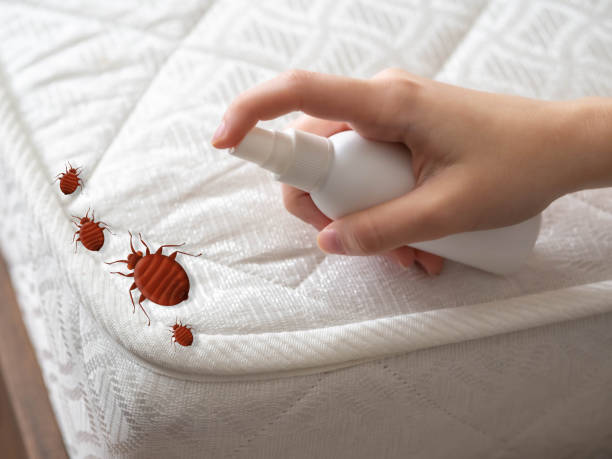 Best Pest Prevention Services  in Hamlin, TX