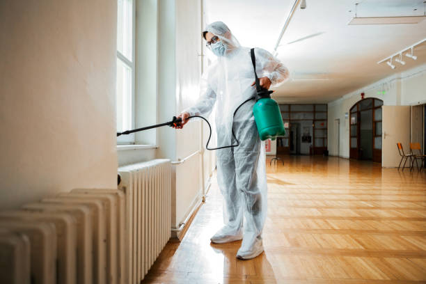 Best Bed Bug Extermination  in Hamlin, TX