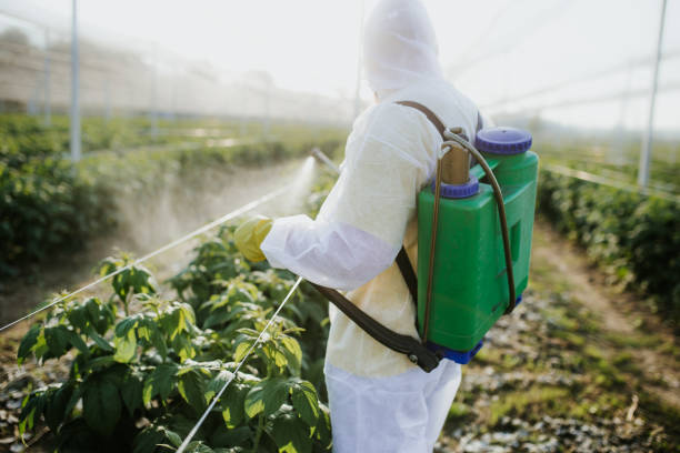 Best Commercial Pest Control Services  in Hamlin, TX